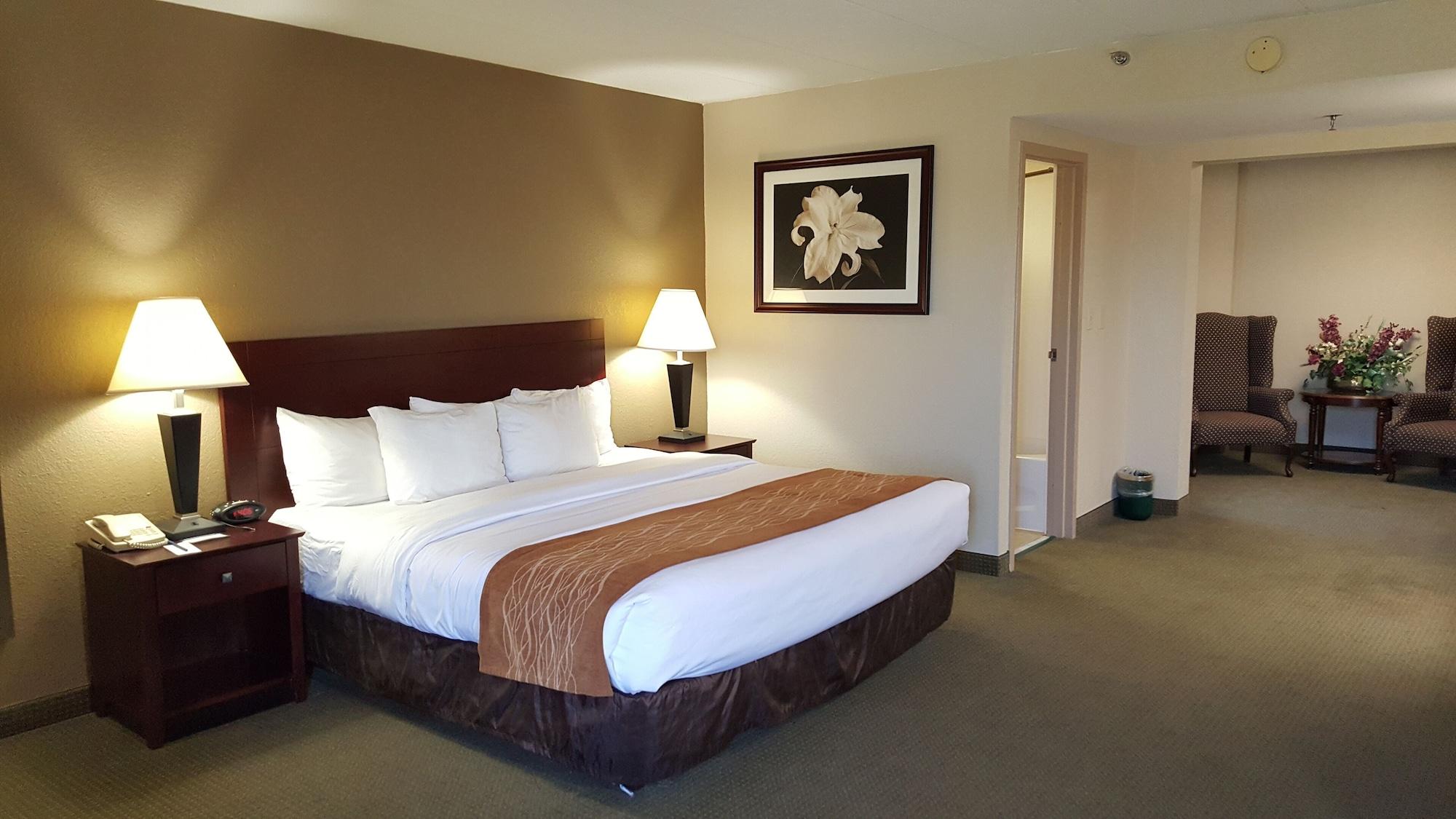 Comfort Inn Northeast Mason Zewnętrze zdjęcie