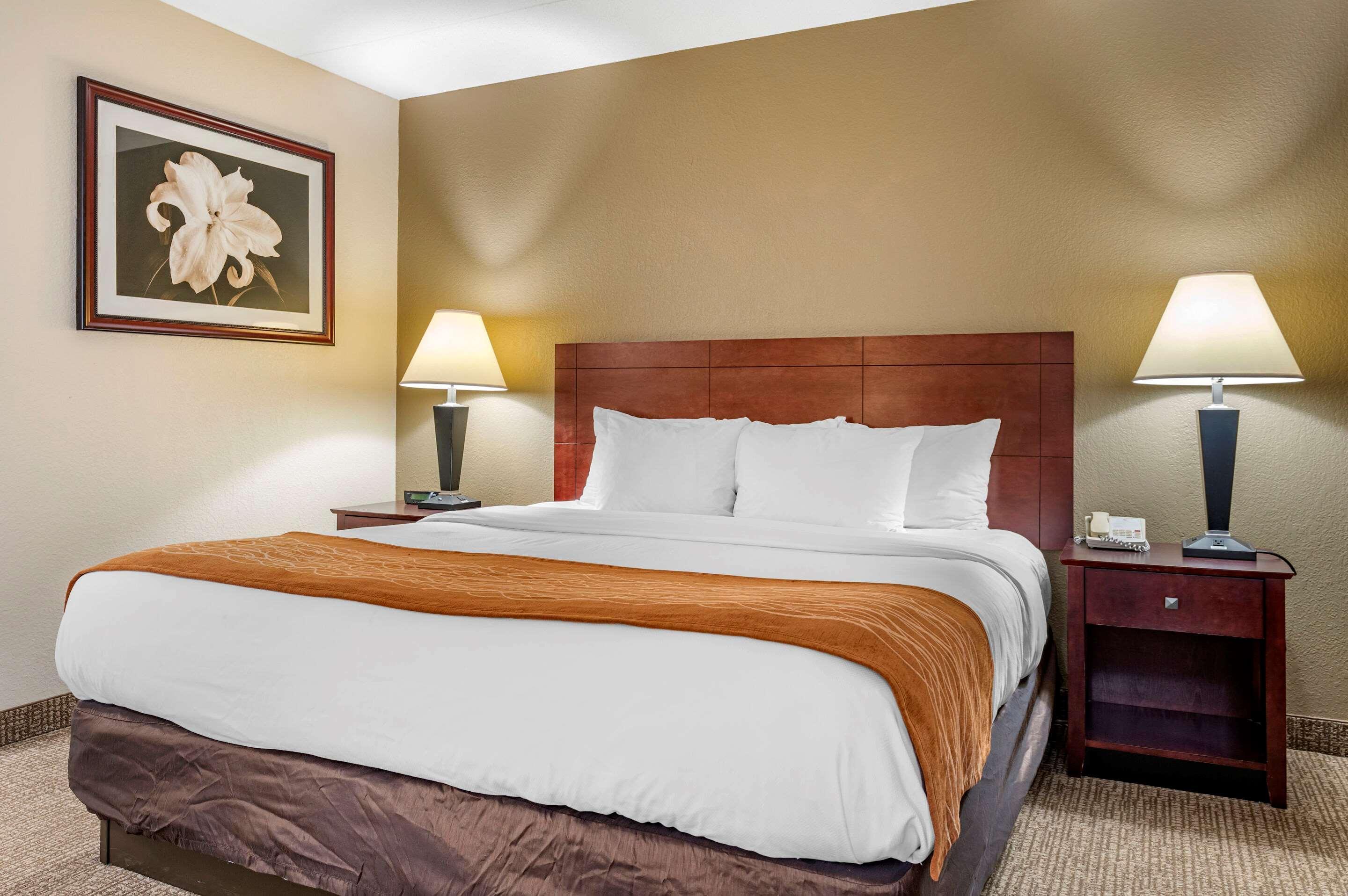 Comfort Inn Northeast Mason Zewnętrze zdjęcie